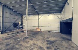 Hala moderna 250mp si 1300 mp teren, zona Simode!