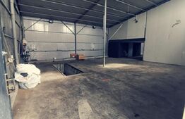 Hala moderna 250mp si 1300 mp teren, zona Simode!