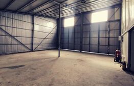 Hala moderna 250mp si 1300 mp teren, zona Simode!