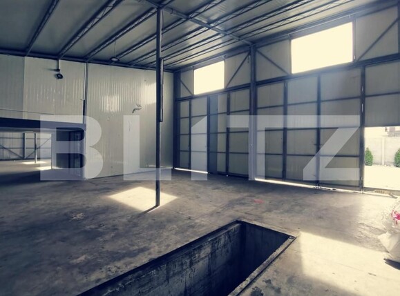 Spațiu industrial de închiriat Aeroport - 148217SII | BLITZ Craiova | Poza9