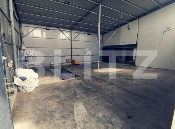 Spațiu industrial de închiriat Aeroport - 148217SII | BLITZ Craiova | Poza11