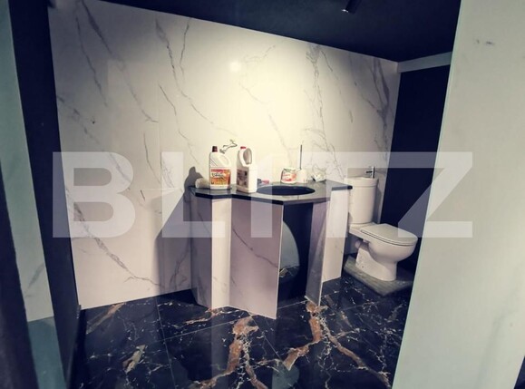 Spațiu industrial de închiriat Aeroport - 148217SII | BLITZ Craiova | Poza13