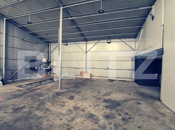 Spațiu industrial de închiriat Aeroport - 148217SII | BLITZ Craiova | Poza6