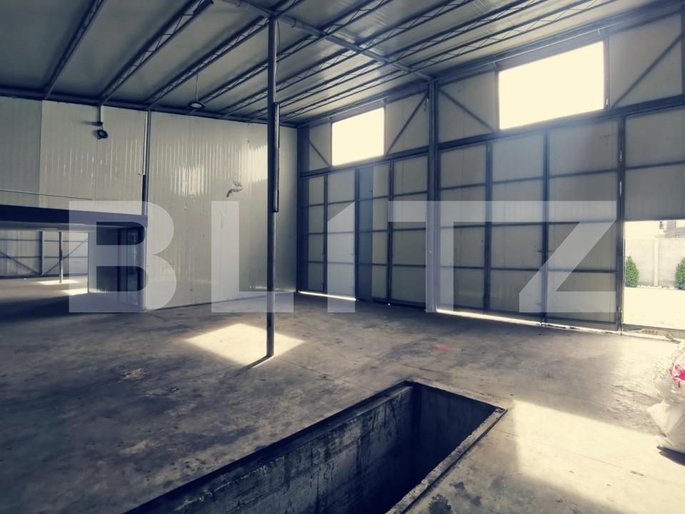 Spațiu industrial de închiriat Aeroport - 148217SII | BLITZ Craiova | Poza9