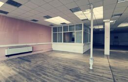 Cladire Comerciala 2200 mp si 3013 mp teren, stradala, zona Banie!