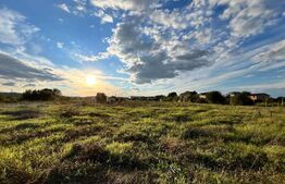  Teren extravilan, 15.000 mp cu front 131 m, cartier Popoveni 