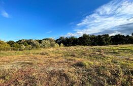  Teren extravilan, 15.000 mp cu front 131 m, cartier Popoveni 