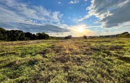  Teren extravilan, 15.000 mp cu front 131 m, cartier Popoveni 