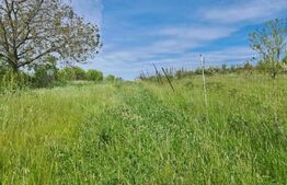 Oferta! Teren intravilan 1170 mp, utilități, la 10 minute de centrul orașului!