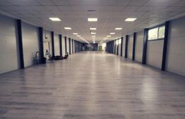 Oferta! Pachet de 2 hale la cheie si o casa, 1800 mp construiti!