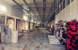 Oferta! Pachet de 2 hale la cheie si o casa, 1800 mp construiti!