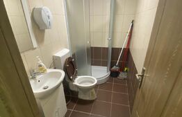 Oferta! Pachet de 2 hale la cheie si o casa, 1800 mp construiti!