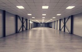 Oferta! Pachet de 2 hale la cheie si o casa, 1800 mp construiti!