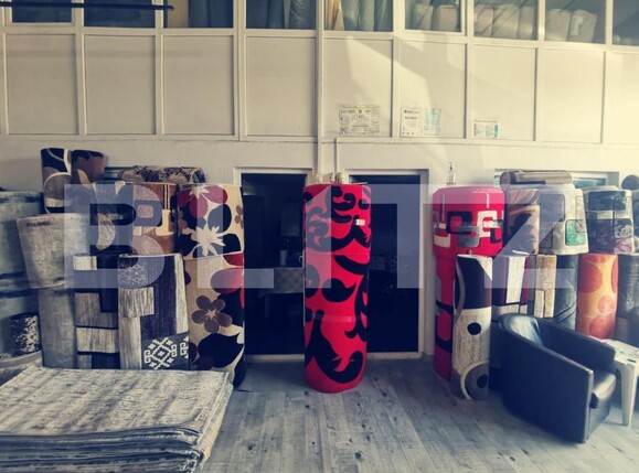 Spațiu industrial de vânzare Exterior Est - 148231SVI | BLITZ Craiova | Poza12