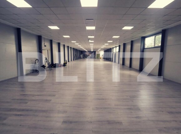 Spațiu industrial de vânzare Exterior Est - 148231SVI | BLITZ Craiova | Poza22