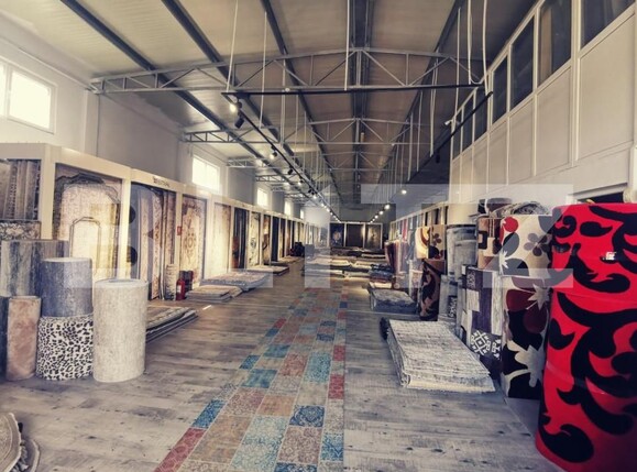 Spațiu industrial de vânzare Exterior Est - 148231SVI | BLITZ Craiova | Poza14