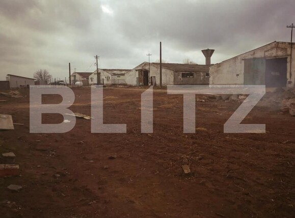 Spațiu industrial de vânzare Exterior Sud - 148232SVI | BLITZ Craiova | Poza2