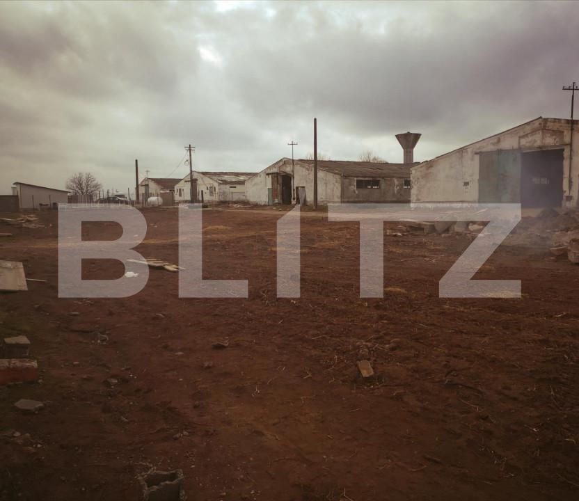 Spațiu industrial de vânzare Exterior Sud - 148232SVI | BLITZ Craiova | Poza2