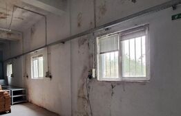 Spațiu Industrial, 1600 mp utili și 1,98 ha teren, cu utilități, zona Cernele!