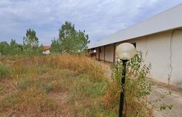 Spațiu Industrial, 1600 mp utili și 1,98 ha teren, cu utilități, zona Cernele!