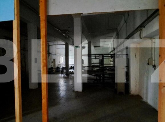 Spațiu industrial de vânzare Cernele - 148234SVI | BLITZ Craiova | Poza7