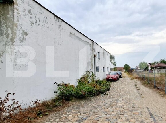 Spațiu industrial de vânzare Cernele - 148234SVI | BLITZ Craiova | Poza1