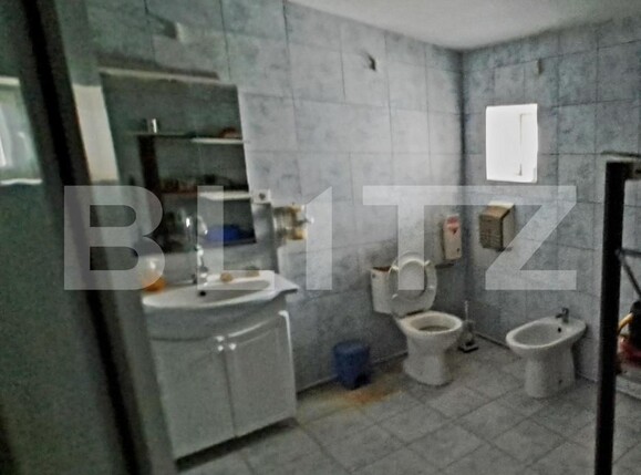 Spațiu industrial de vânzare Cernele - 148234SVI | BLITZ Craiova | Poza14