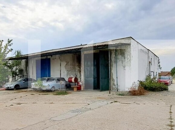 Spațiu industrial de vânzare Cernele - 148234SVI | BLITZ Craiova | Poza3