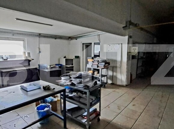 Spațiu industrial de vânzare Cernele - 148234SVI | BLITZ Craiova | Poza12
