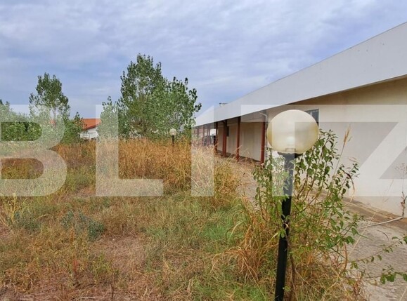 Spațiu industrial de vânzare Cernele - 148234SVI | BLITZ Craiova | Poza19