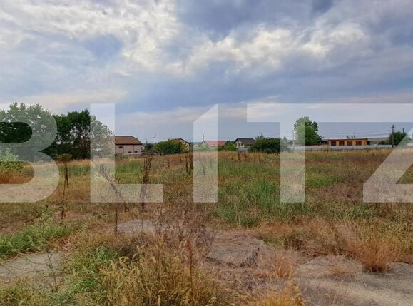 Spațiu industrial de vânzare Cernele - 148234SVI | BLITZ Craiova | Poza11