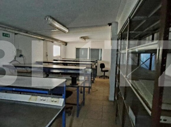 Spațiu industrial de vânzare Cernele - 148234SVI | BLITZ Craiova | Poza5