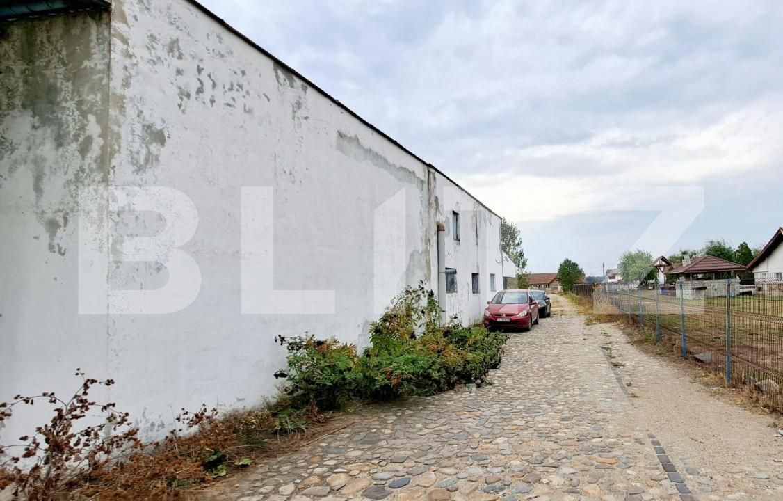 Spațiu industrial de vânzare Cernele - 148234SVI | BLITZ Craiova | Poza1