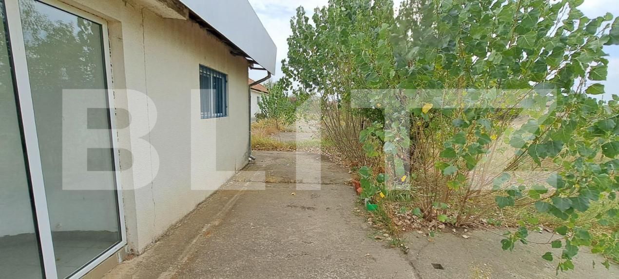 Spațiu industrial de vânzare Cernele - 148234SVI | BLITZ Craiova | Poza18