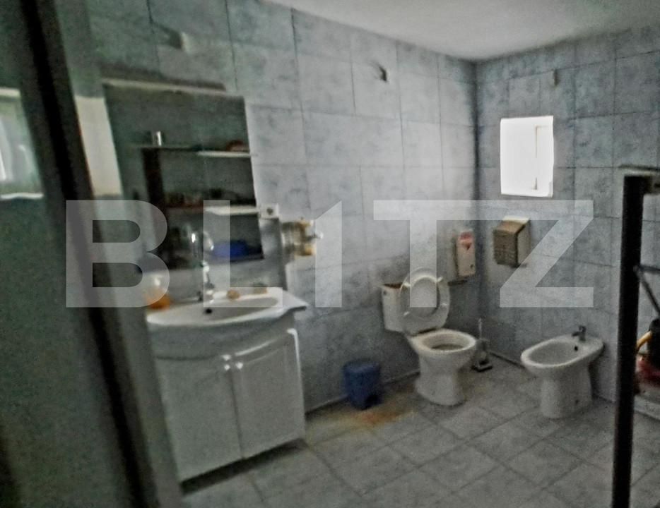 Spațiu industrial de vânzare Cernele - 148234SVI | BLITZ Craiova | Poza14