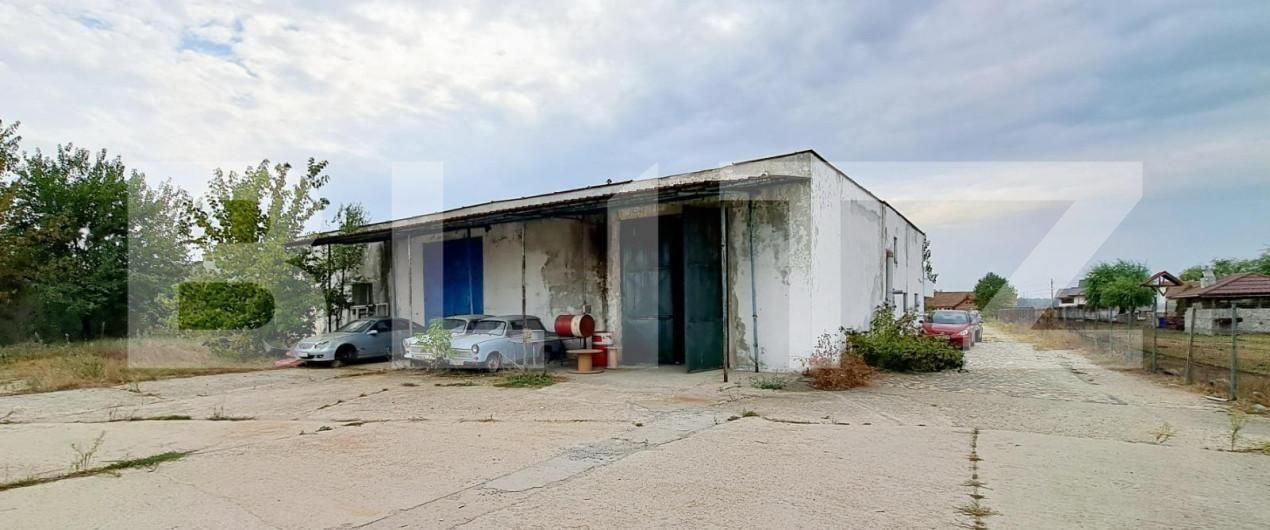 Spațiu industrial de vânzare Cernele - 148234SVI | BLITZ Craiova | Poza3