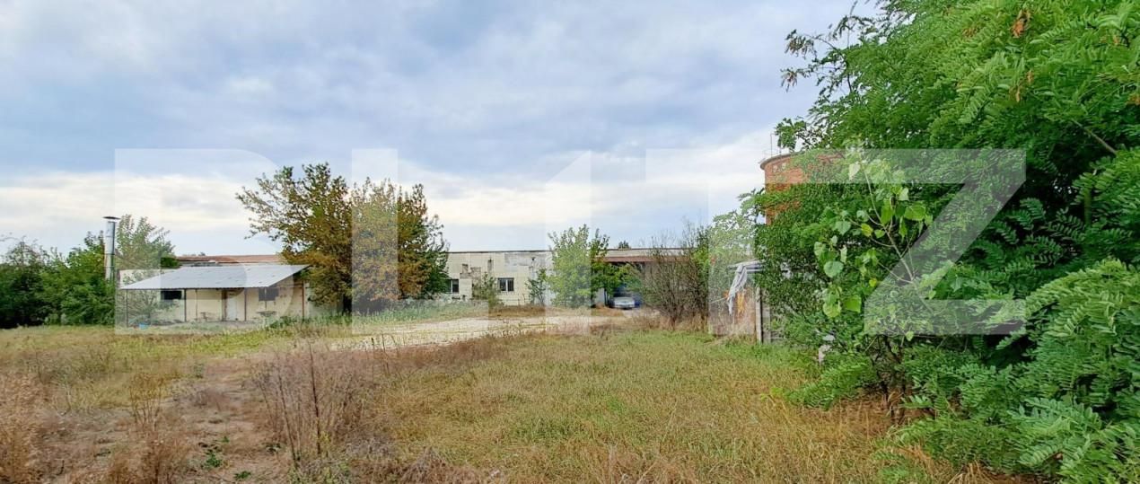 Spațiu industrial de vânzare Cernele - 148234SVI | BLITZ Craiova | Poza20