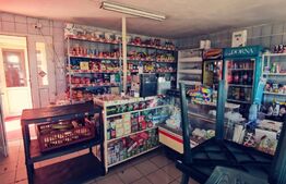 Spatiu 187mp cu 2431 mp teren, stradal, zona Brădesti!