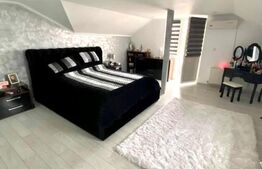 Casa de 260 mp utili, teren de 460 mp, zona Romanesti!