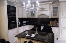 Casă P + M 188 mp utili, 685 mp teren, zona Catargiu