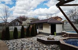 2 duplexuri de lux, 1100 mp, curte si piscina, Bariera Valcii