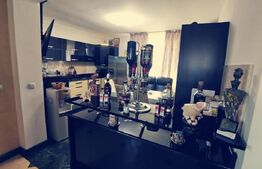 2 duplexuri de lux, 1100 mp, curte si piscina, Bariera Valcii