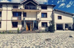 2 duplexuri de lux, 1100 mp, curte si piscina, Bariera Valcii