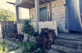 Casa parter cu pod, 120 mp utili, 320 mp teren, in Brestei!