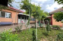  2 Case individuale 100 mp, teren 5000 mp, comuna Teslui,sat Fântânele 