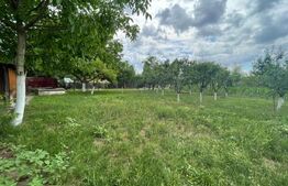  2 Case individuale 100 mp, teren 5000 mp, comuna Teslui,sat Fântânele 