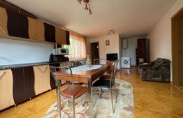  2 Case individuale 100 mp, teren 5000 mp, comuna Teslui,sat Fântânele 