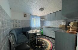  2 Case individuale 100 mp, teren 5000 mp, comuna Teslui,sat Fântânele 