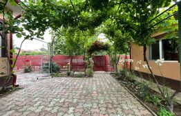  2 Case individuale 100 mp, teren 5000 mp, comuna Teslui,sat Fântânele 