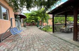  2 Case individuale 100 mp, teren 5000 mp, comuna Teslui,sat Fântânele 